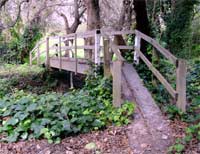 Bridge from The Grove to The Letters